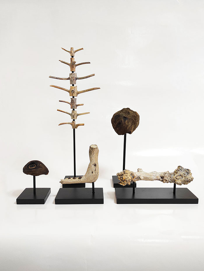 Remains