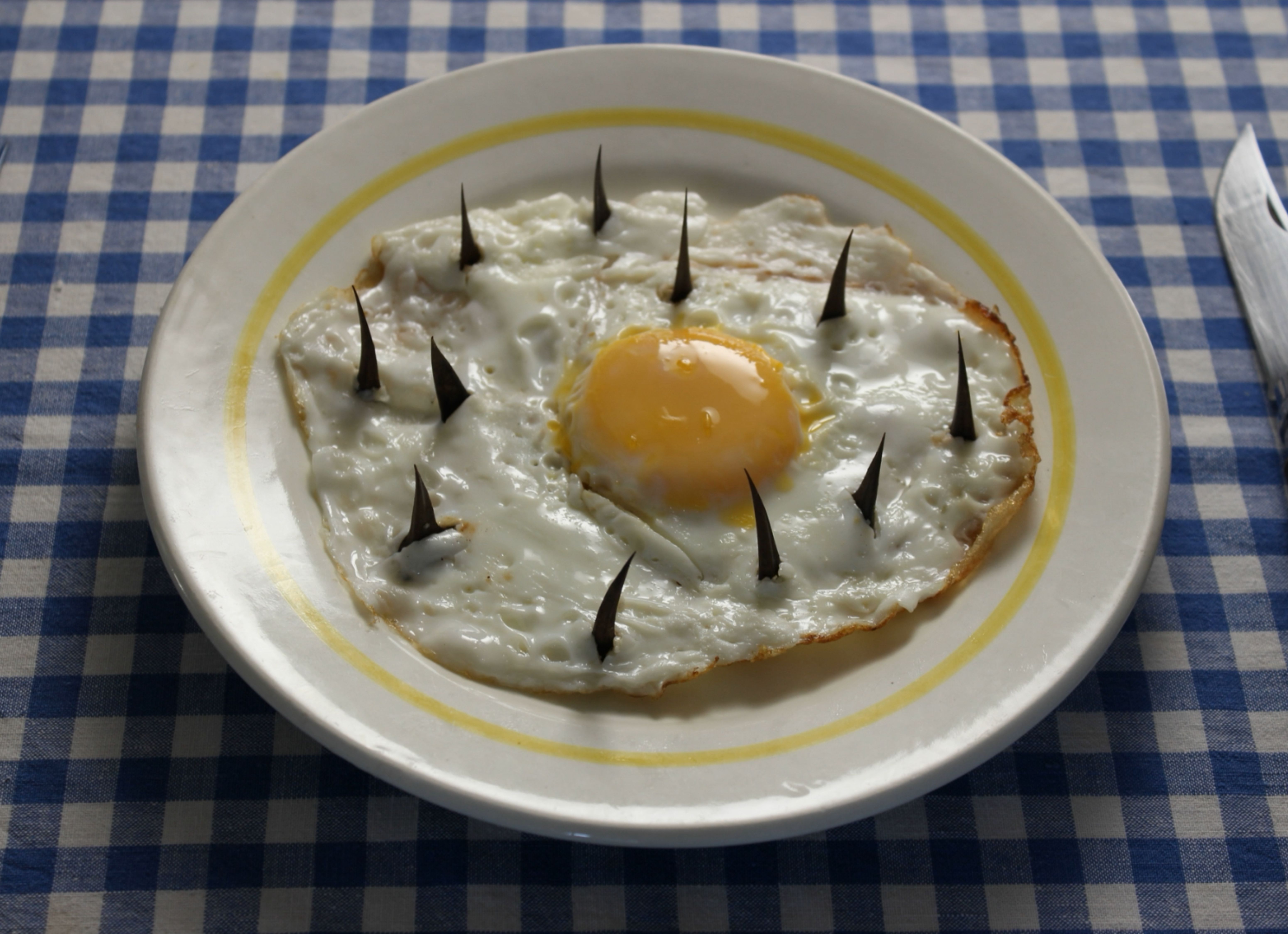 BREAKFAST (video)